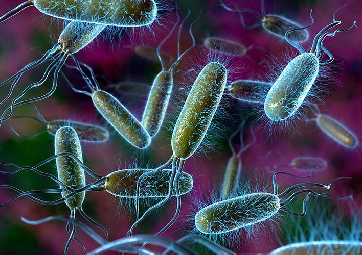 bizi-bakteriyalar-idare-edir
