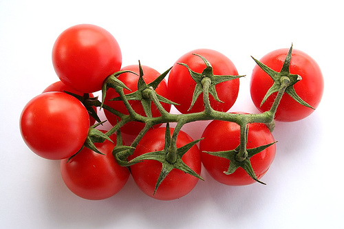 pomidorlari-curumekden-qorumagin-en-sade-yolu
