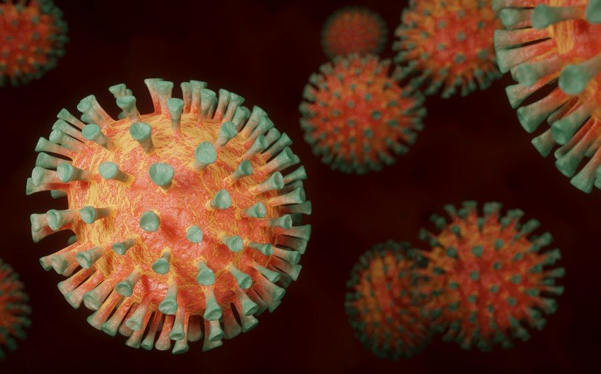 mutexessisler-koronavirusun-en-erken-elametlerini-uze-cixardilar
