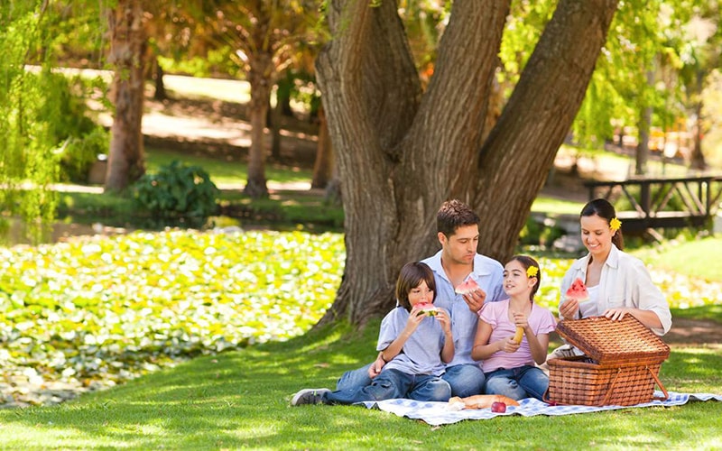 milli-parklarda-piknik-etmek-olar