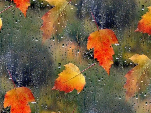 oktyabrin-23-ne-olan-hava-haqda-1-2