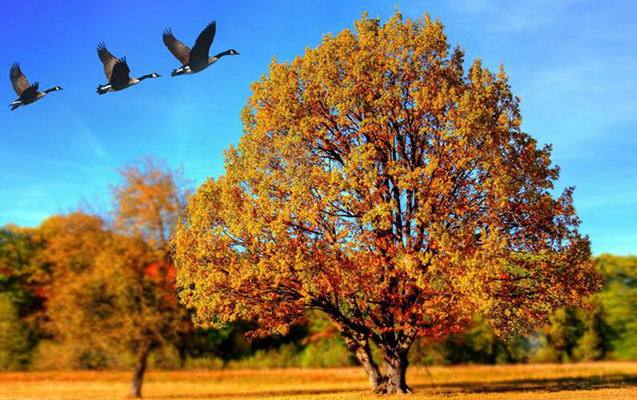 senbe-gunu-olke-erazisinde-hava-nece-olacaq