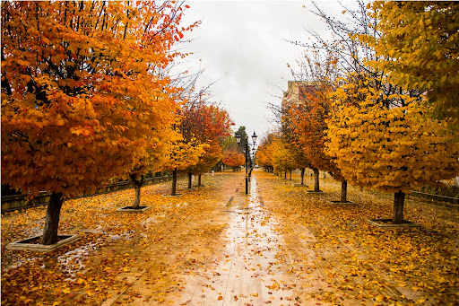 oktyabrin-29-na-olan-hava-haqda-1