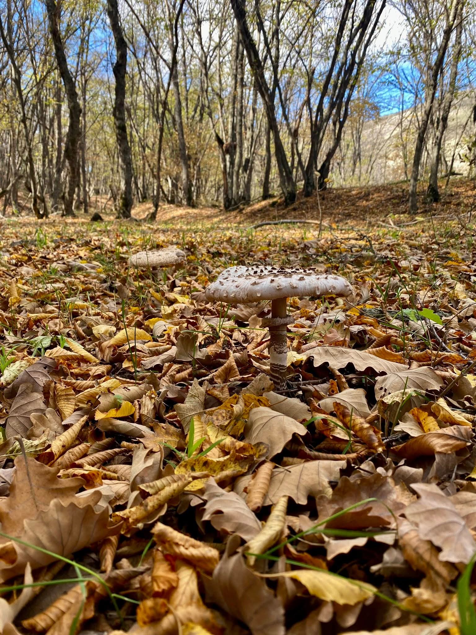 hava-keskin-deyisir-1