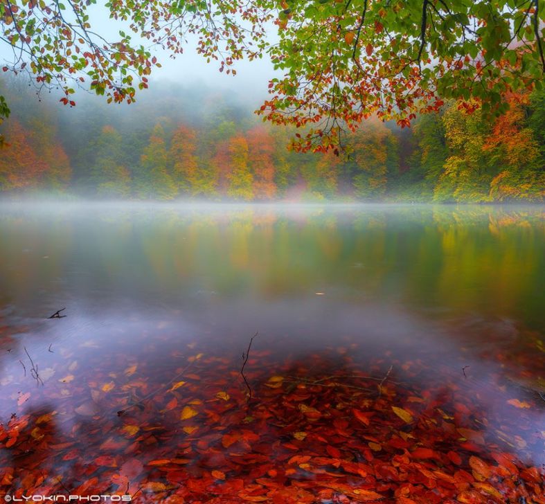 noyabrin-12-ne-olan-hava-haqda-1