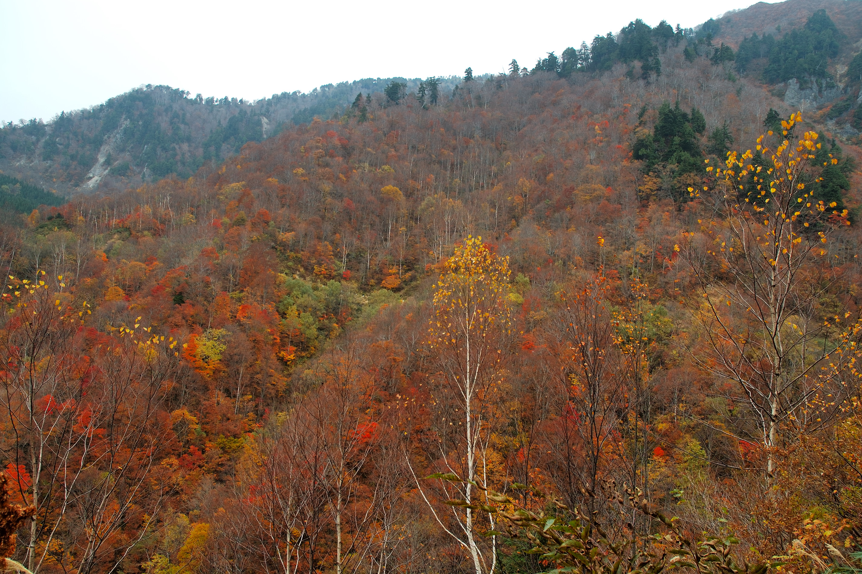 noyabrin-14-ne-olan-hava-haqda-1