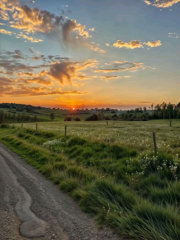 noyabrin-son-gunune-olan-hava-1