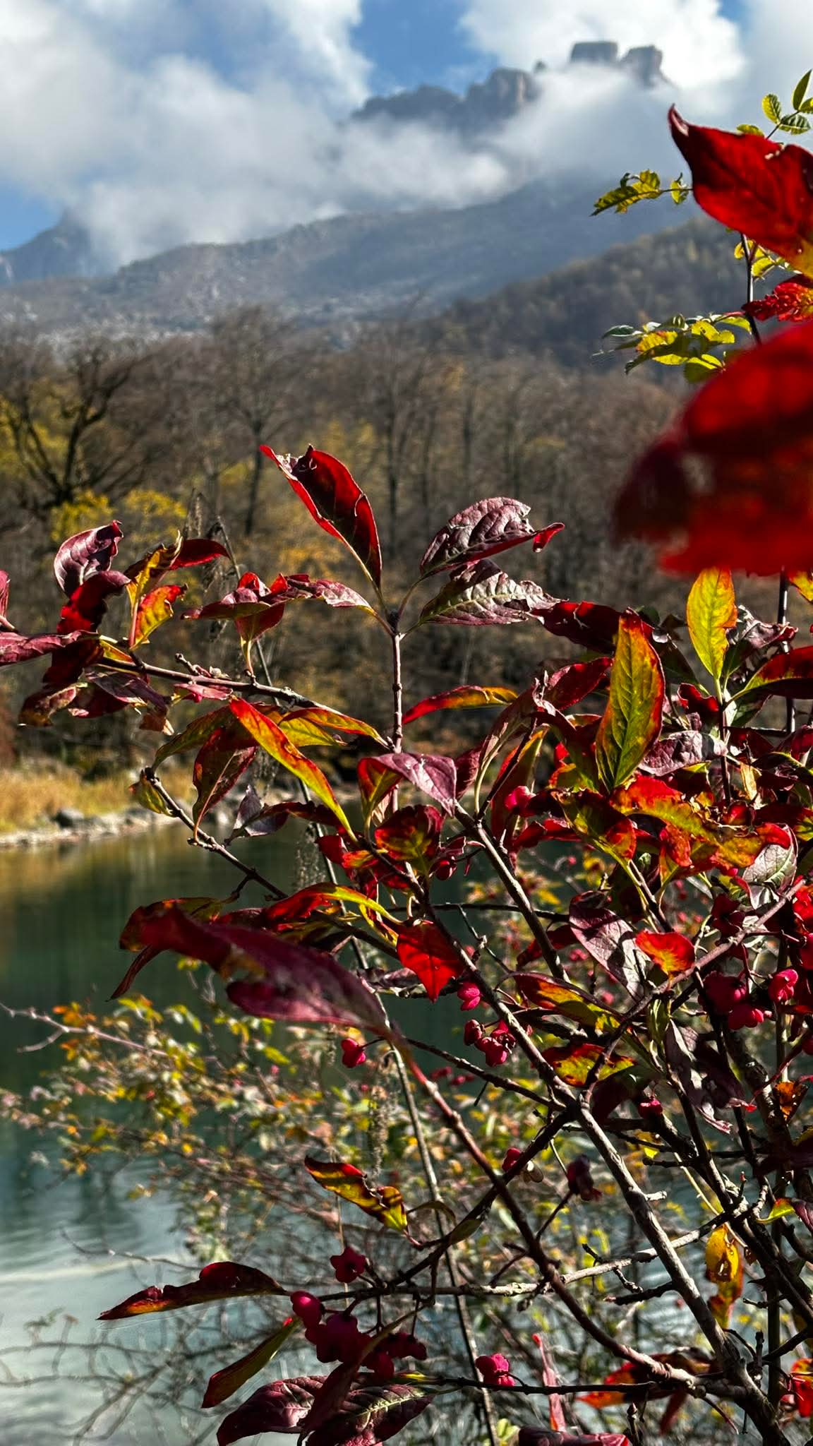 noyabrin-6-na-olan-hava-proqnozu