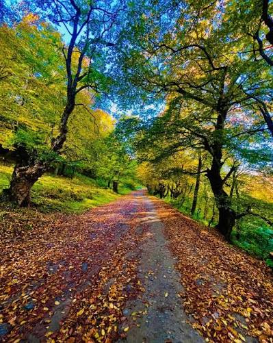 noyabrin-7-ne-olan-hava-haqda-1-2