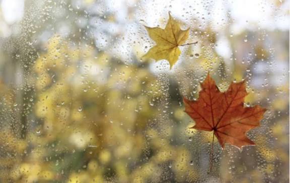 dekabrin-13-ne-olan-hava-haqda-1