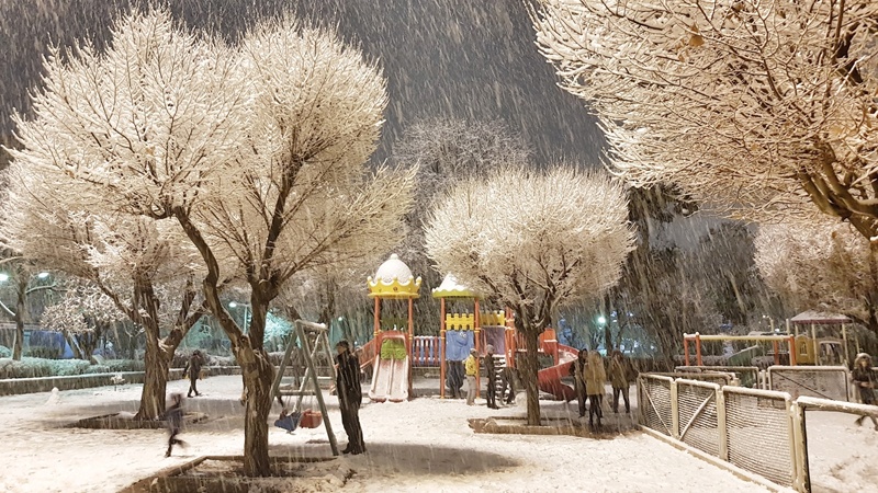 dekabrin-16-na-olan-hava-haqda-1