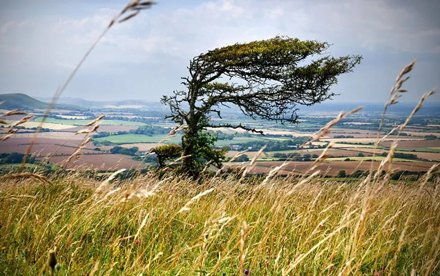 dekabrin-3-ne-olan-hava-haqda-1-2