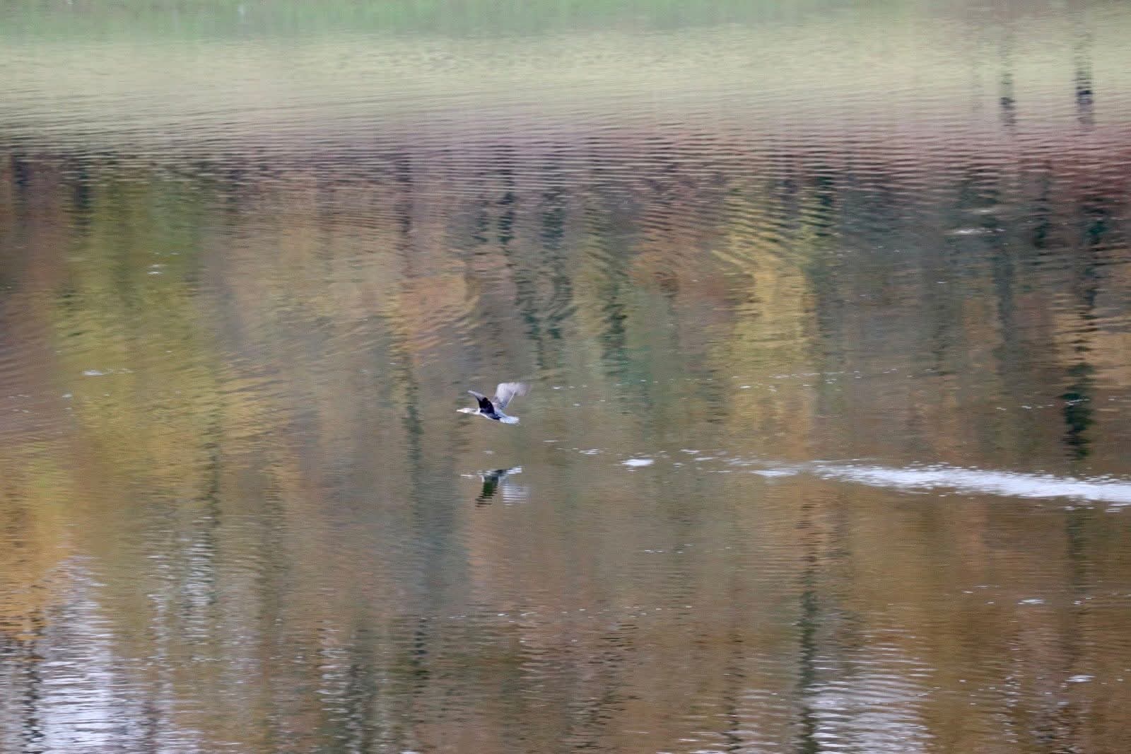 ilin-sonuncu-is-heftesinin-ilk-gunune-olan-hava