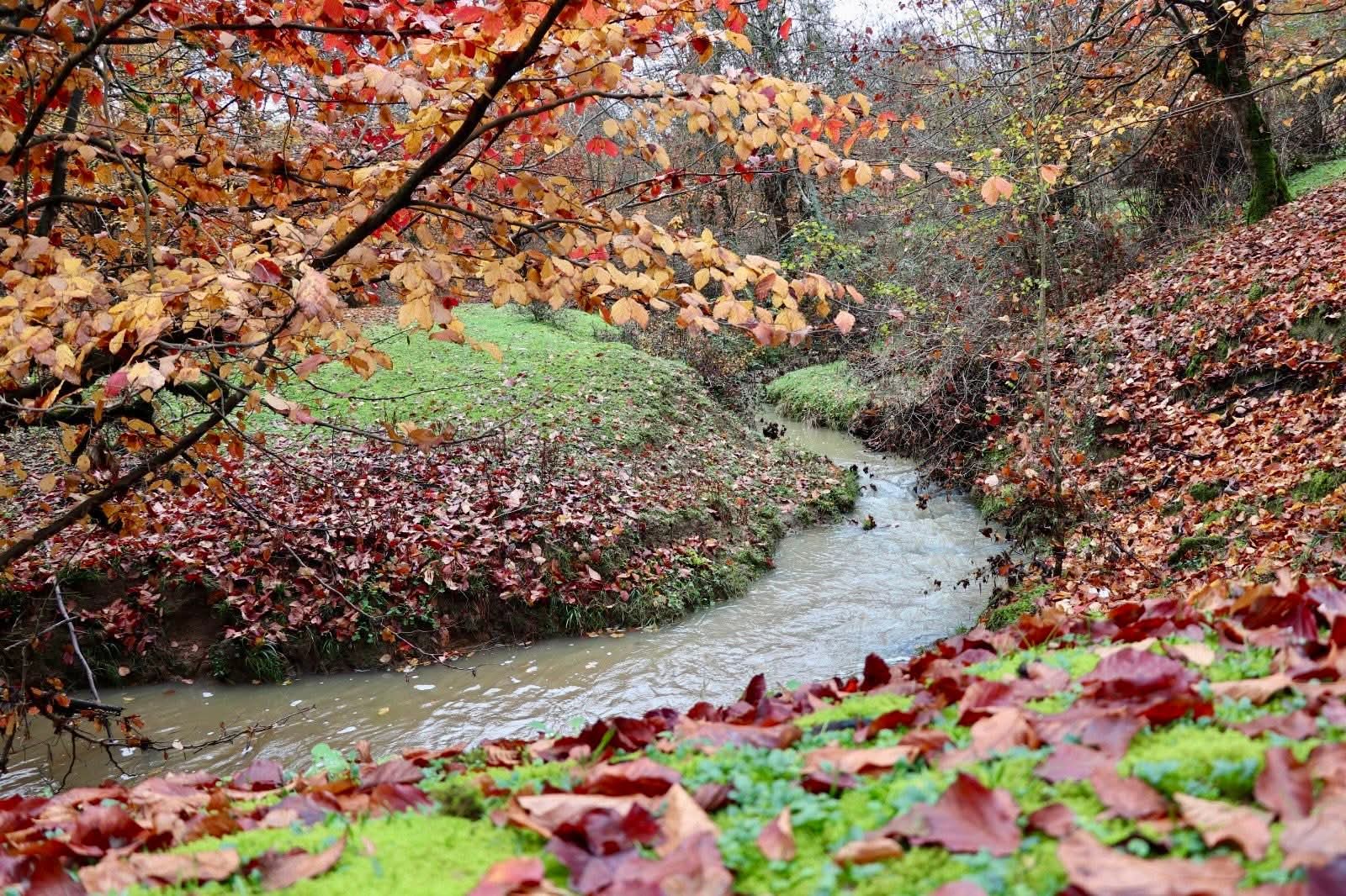 tdekabrin-23-ne-olan-hava-proqnozu-1