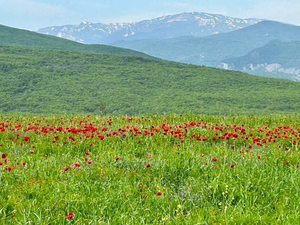 aprelin-son-gunune-olan-hava-haqda