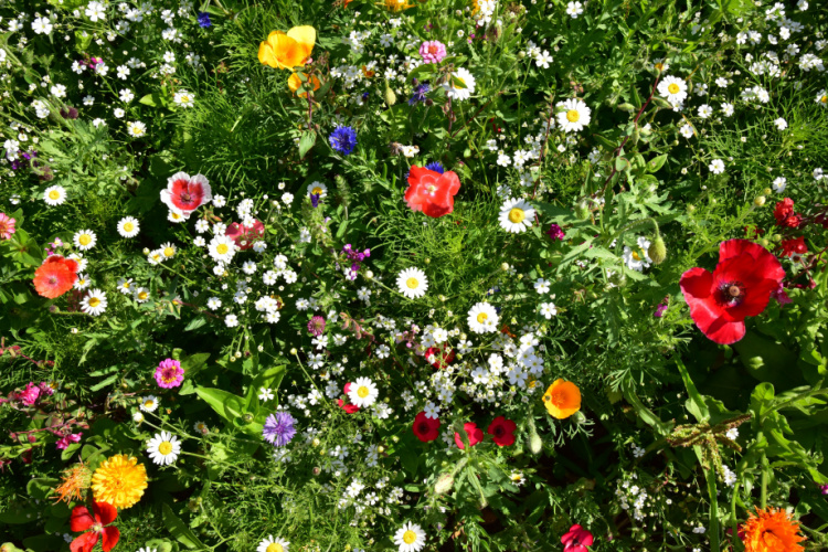 may-ayinin-ilk-gunu-hava
