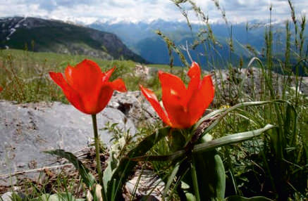 mayin-16-na-olan-hava-haqda