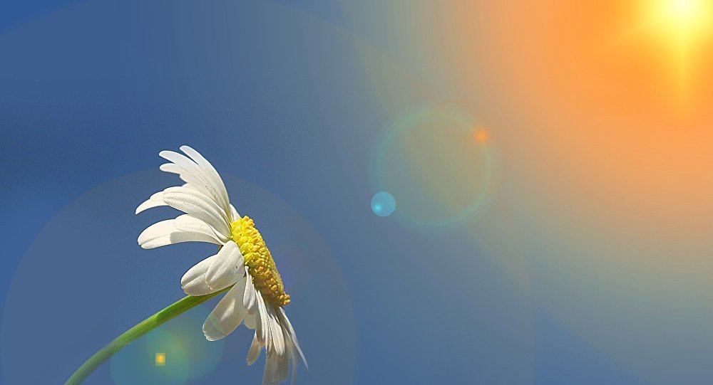 mayin-18-ne-olan-hava-haqda-1