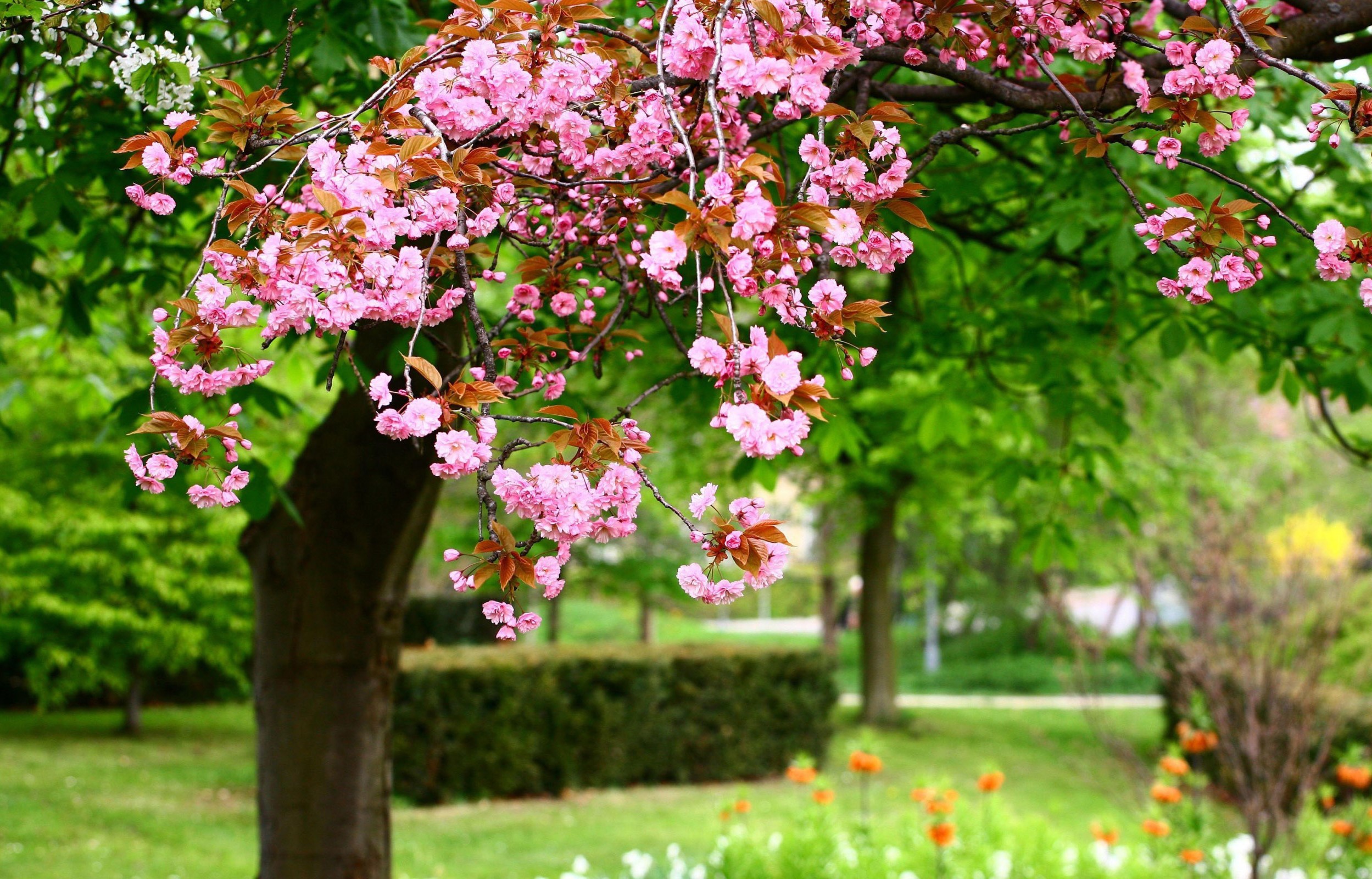 mayin-6-na-olan-hava-haqda-1
