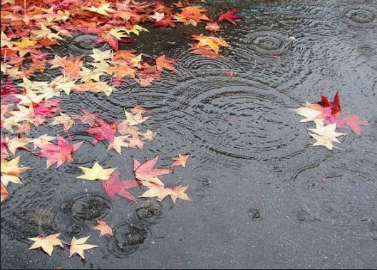 yagintili-hava-nece-gun-davam-edecek
