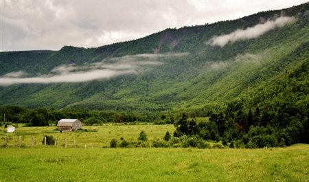 mulayim-kulek-esecek