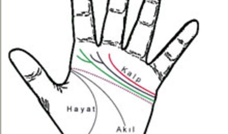 elimizin-icindeki-xetlerin-menasi-nedir