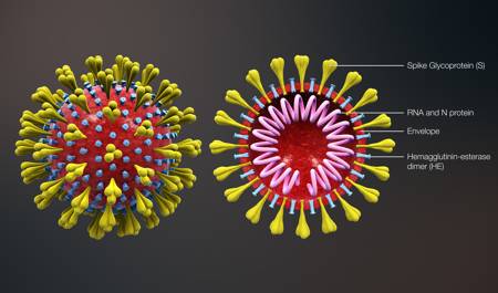 koronavirus-eleyhine-madde-tapildi