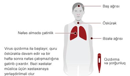 dunyada-ne-qeder-adam-koronavirusa-yoluxub