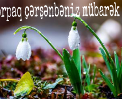 ilaxir-cersenbesinin-adetleri-nelerdir