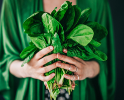 kalium-menbeyi-ispanaqdan-istifadenin-6-saglam-yolu