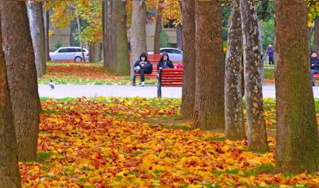 oktyabr-ayina-olan-hava-proqnozu