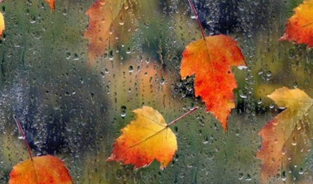 oktyabrin-23-ne-olan-hava-haqda-1-2