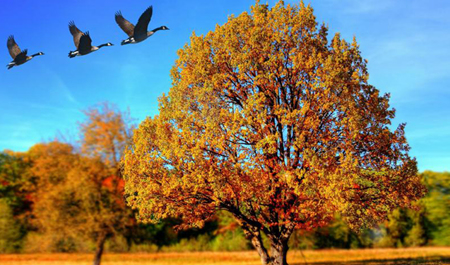 senbe-gunu-olke-erazisinde-hava-nece-olacaq