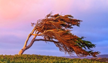 bazar-gunune-olan-hava-haqda-1-2-3