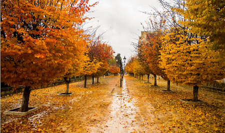 oktyabrin-29-na-olan-hava-haqda-1