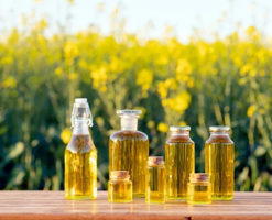 yemek-bisirerken-bu-yaglardan-esla-istifade-etmeyin