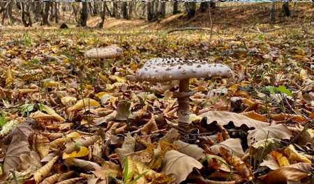 hava-keskin-deyisir-1