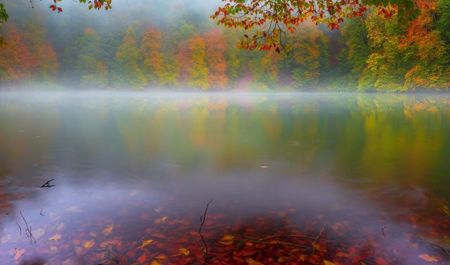 noyabrin-12-ne-olan-hava-haqda-1