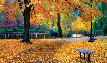 bu-gunun-havasi-1-2-3-4-5-6-7-8-9-10-11-12-13-14-15