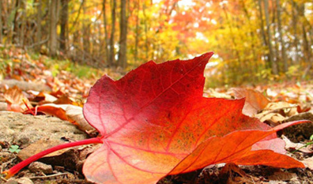 noyabrin-13-ne-olan-hava-haqda-1-2