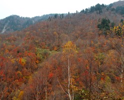 noyabrin-14-ne-olan-hava-haqda-1