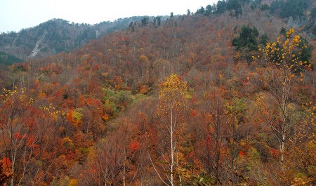 noyabrin-14-ne-olan-hava-haqda-1