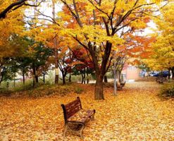 noyabr-ayi-hava-nece-olacaq