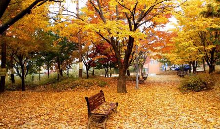 noyabrin-5-ne-olan-hava-haqda-1-2