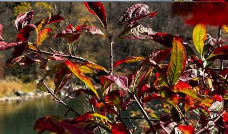 noyabrin-6-na-olan-hava-proqnozu