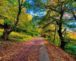 noyabrin-7-ne-olan-hava-haqda-1-2