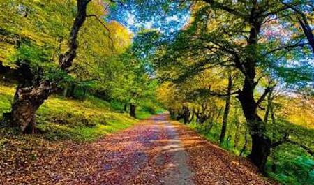 noyabrin-7-ne-olan-hava-haqda-1-2