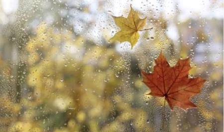 dekabrin-13-ne-olan-hava-haqda-1