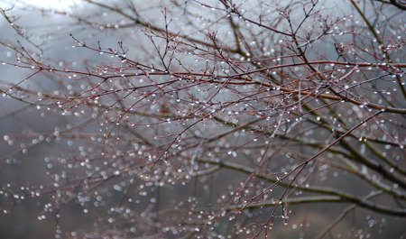 dekabrin-15-ne-olan-hava-proqnozu