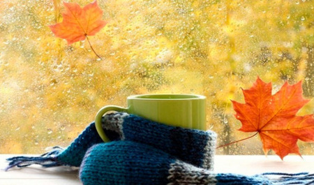 bazar-gununun-hava-proqnozu-aciqlanib